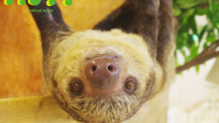 千葉｜動物園｜Moff animal world BIGHOP ガーデンモール印西店