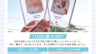 新商品】MOFFネコがカードに！『MOFF Cat Collection Card』グラン