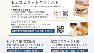 お知らせ】2月は毎日が猫の日♪「Cat Monthly Fes 2026」開催決定