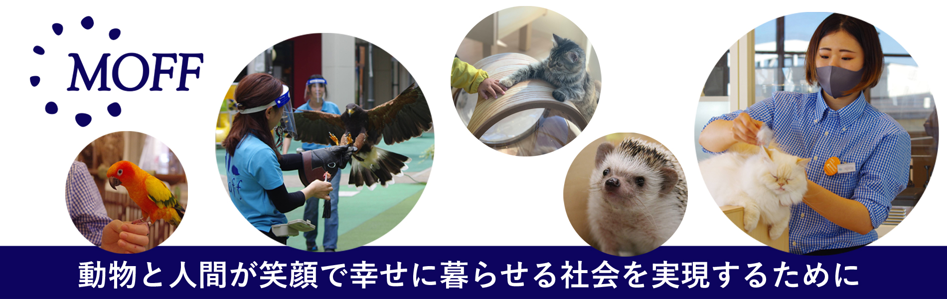 株式会社moff 求人採用サイト 株式会社moffの求人採用サイトです 動物とのふれあいに関わるさまざまな事業で人材を募集しています