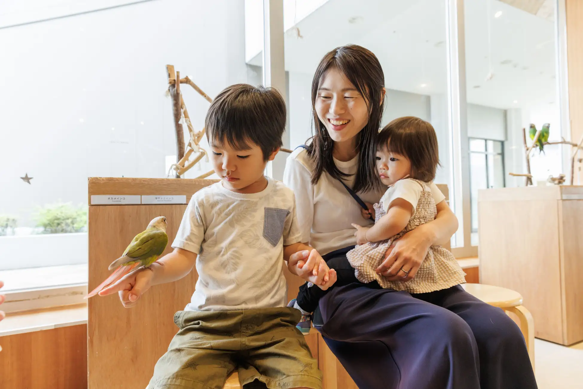 2025年3月24日（月）新店舗【Cat Café MOFF minamoa広島店】オープン！