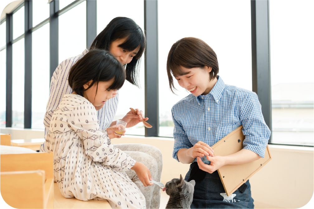 猫カフェで親子で餌やり体験MOFF