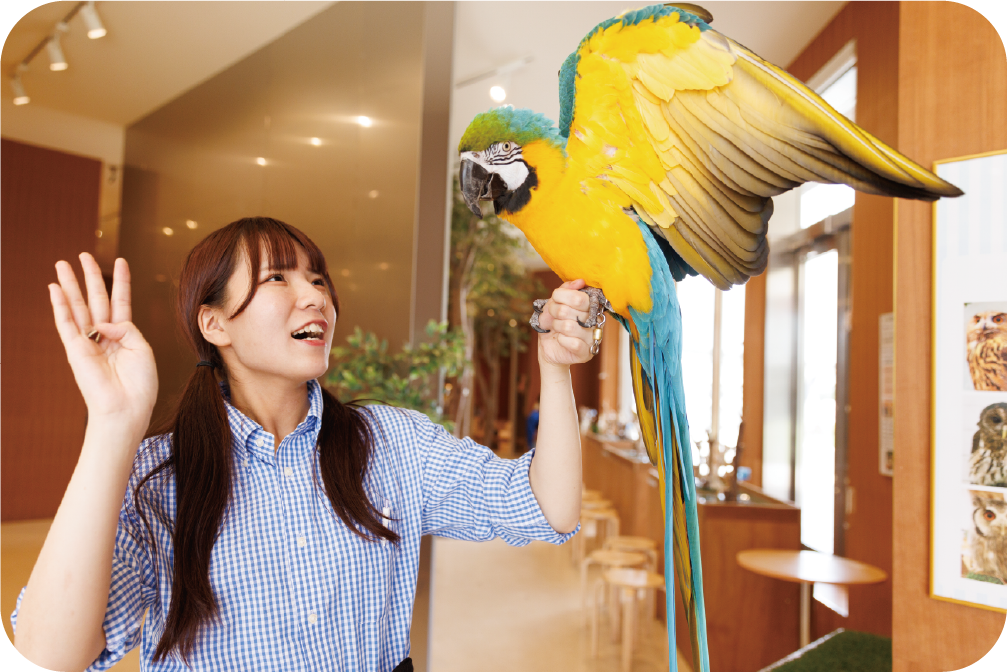 動物カフェでインコを手に乗せるふれあいシーン