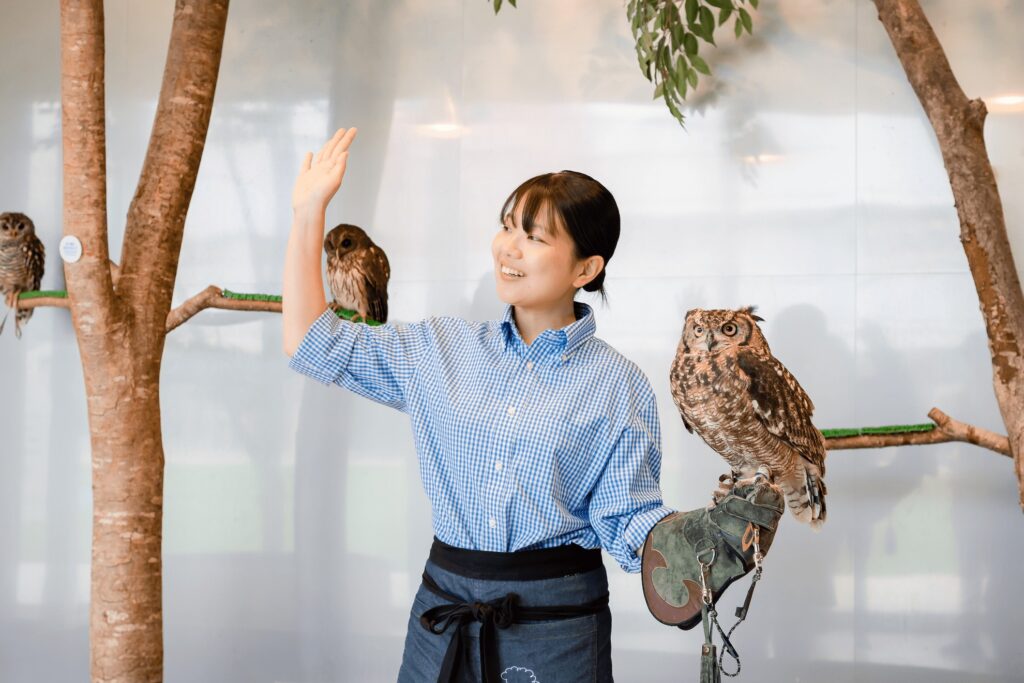 MOFFの働き方：先輩社員の声モフアニマルカフェで働く様子