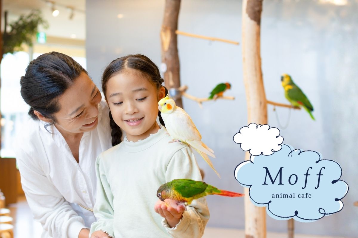 MOFF事業紹介アニマルカフェ
