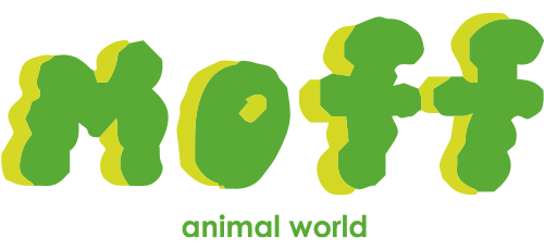 MOFF アニマルワールド