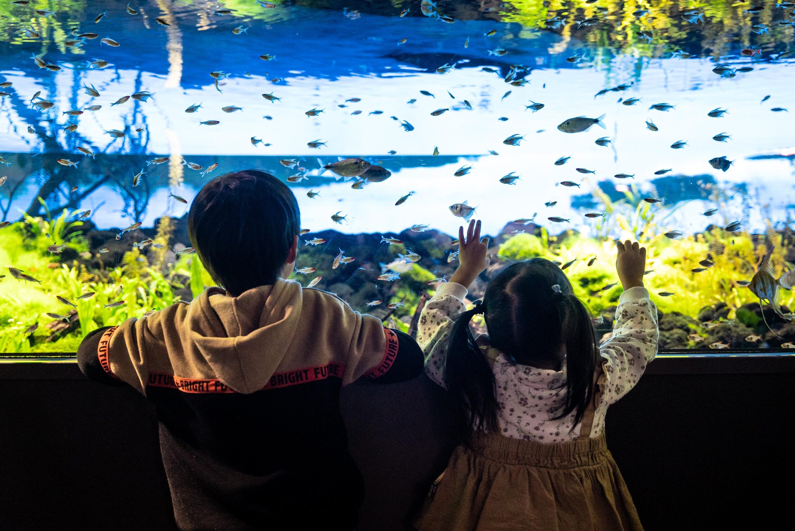 子どもたちが水槽を見つめる様子：MOFFが運営する川崎水族館「カワスイ」の館内イメージ
