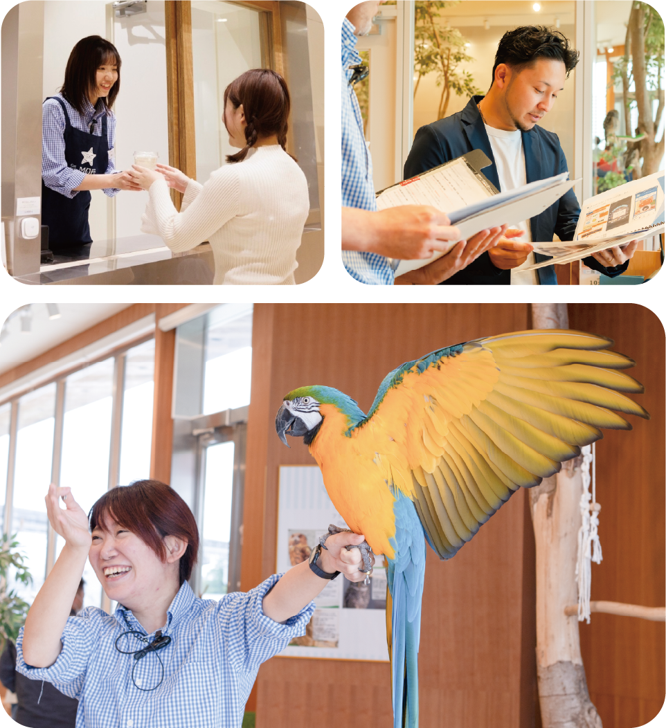 Staff interacting with customers and animals