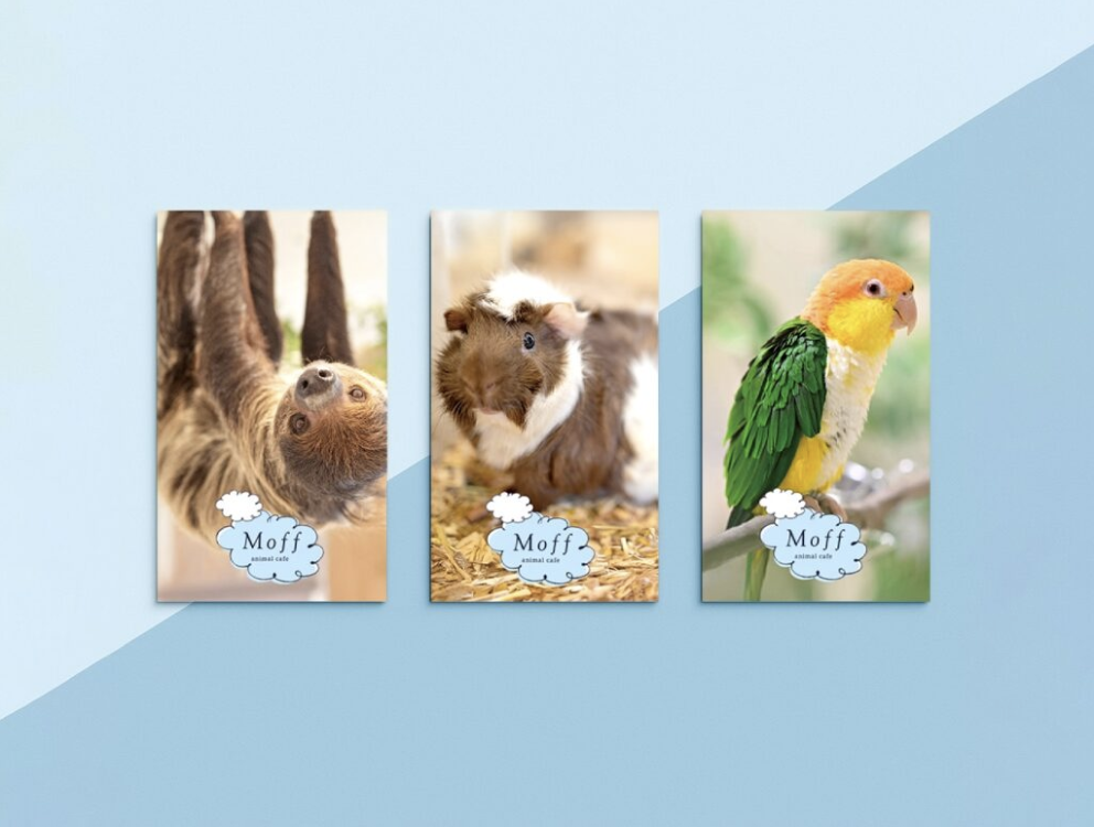 Moff animal cafe CUTE CUBE 原宿店オープン記念ステッカー