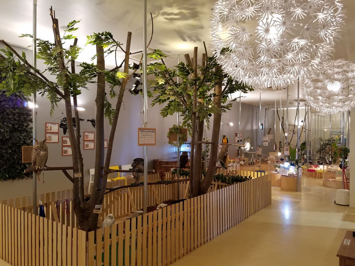 moff animal cafe イオン モール 幕張 新 都心 店