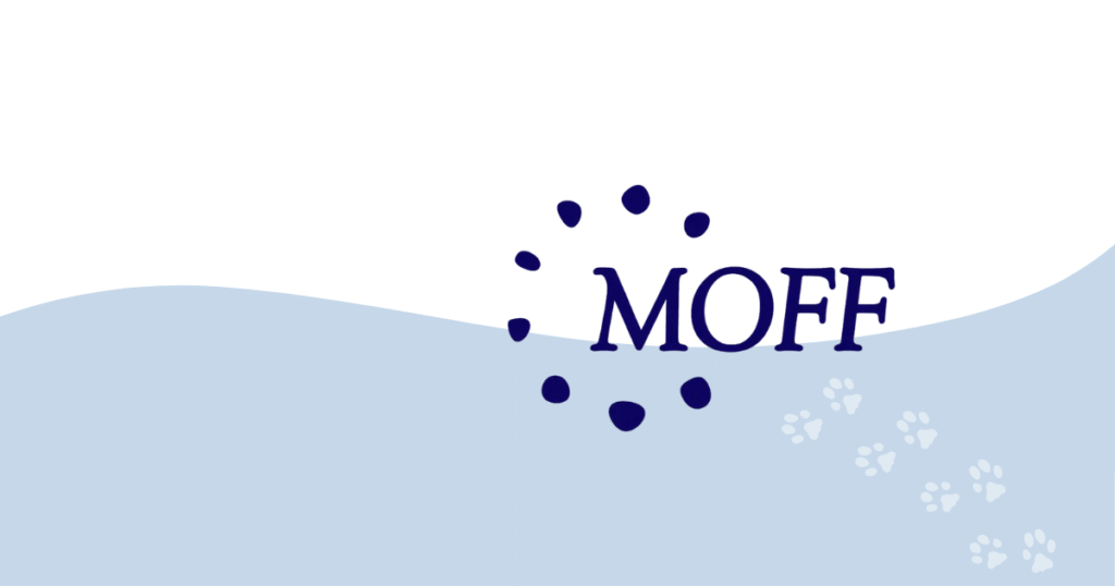 MOFF-news