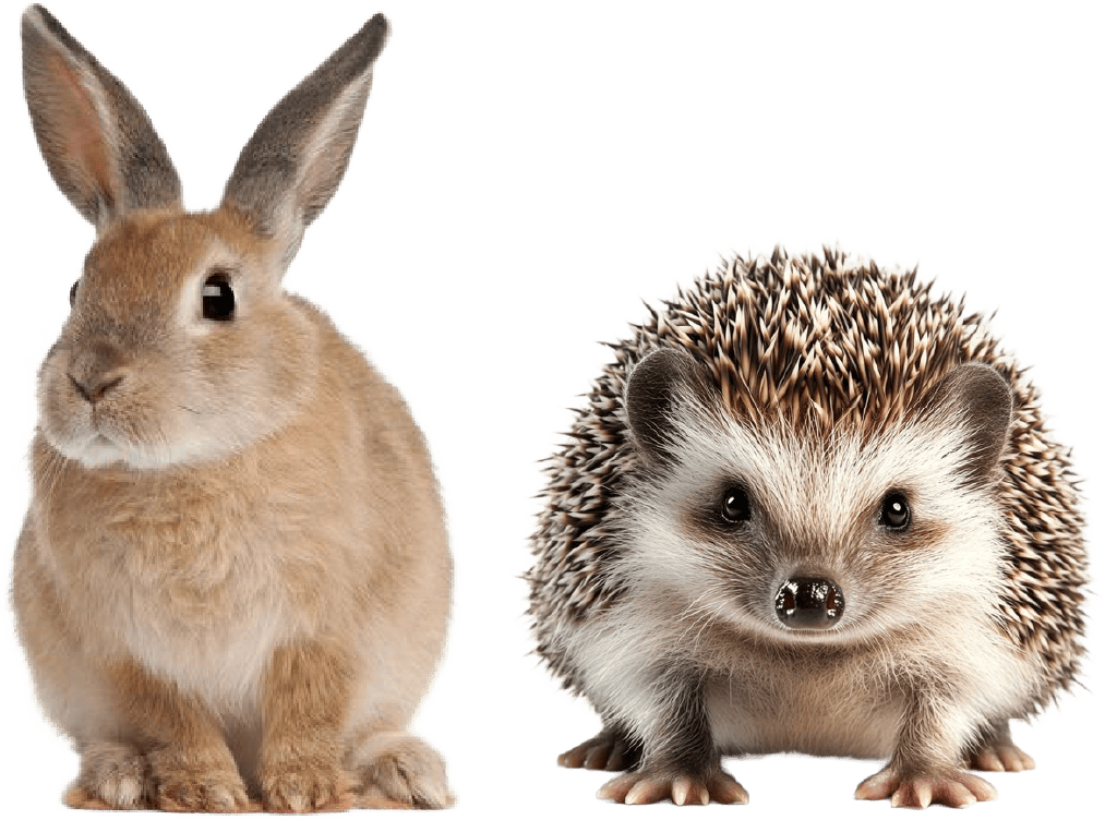MOFFの仲間 うさぎとハリネズミ