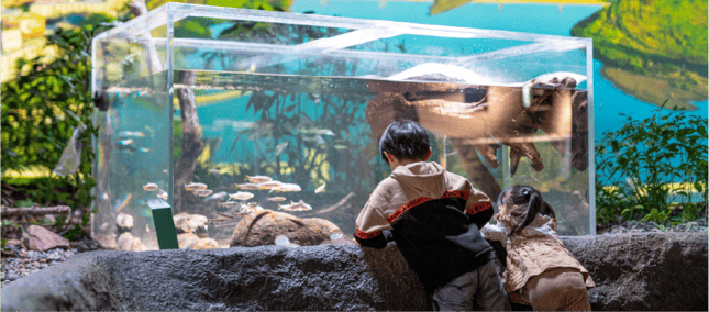 カワスイ 川崎水族館