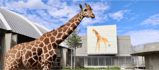 霞ケ浦どうぶつとみんなのいえ