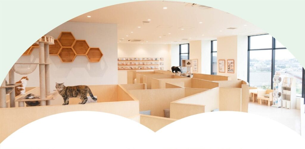 装飾MOFF店内の様子