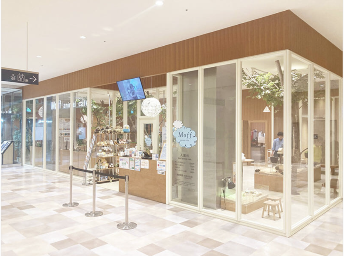 Moff animal cafe アルパーク店