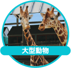キリンなどの大型動物
