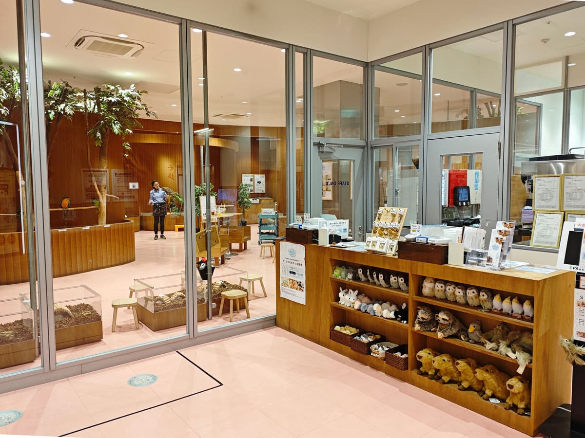 Moff animal cafe ららぽーと愛知東郷店