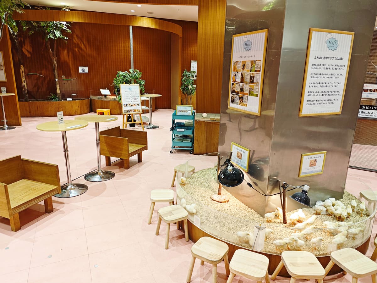 Moff animal cafe ららぽーと愛知東郷店