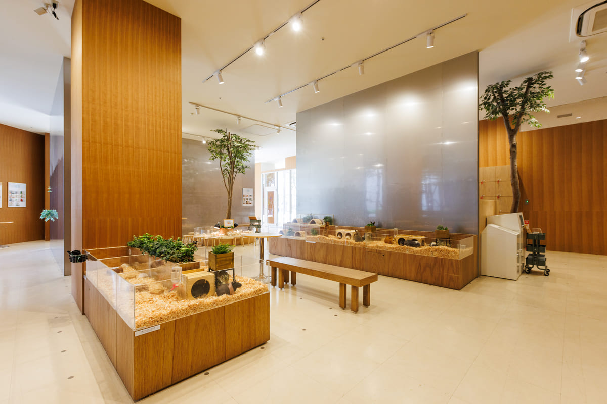 Moff animal cafe ららぽーと立川立飛店