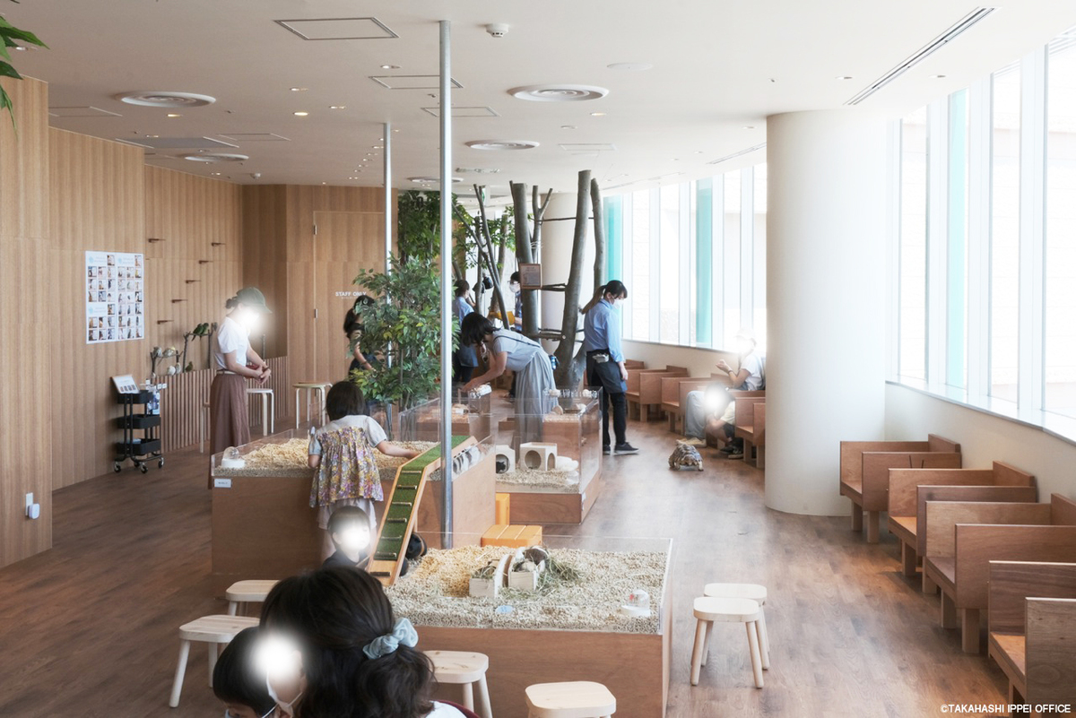 Moff animal cafe 小田原ダイナシティ店