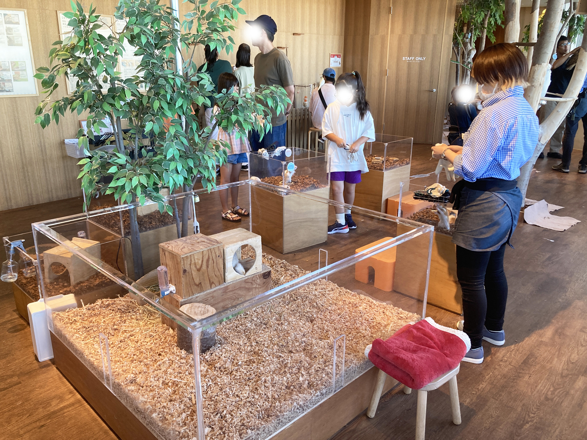 Moff animal cafe 小田原ダイナシティ店