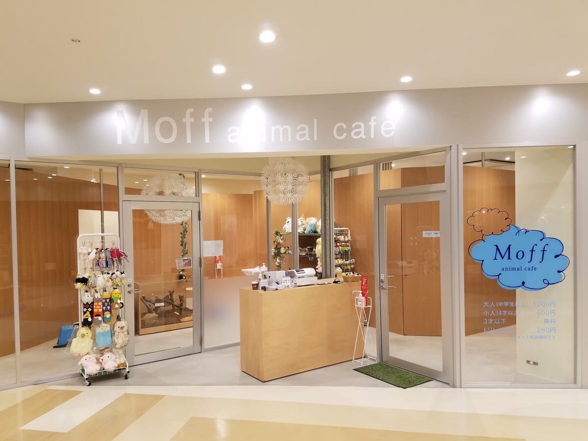 Moff animal cafe マークイズ福岡ももち店｜3歳以下無料の室内動物