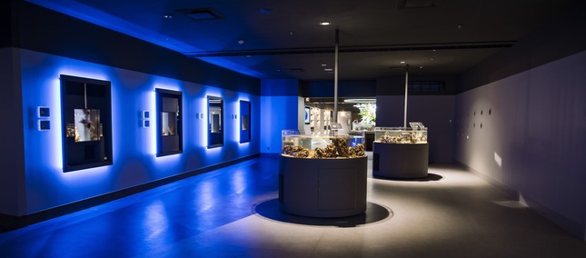 スマートアクアリウム静岡