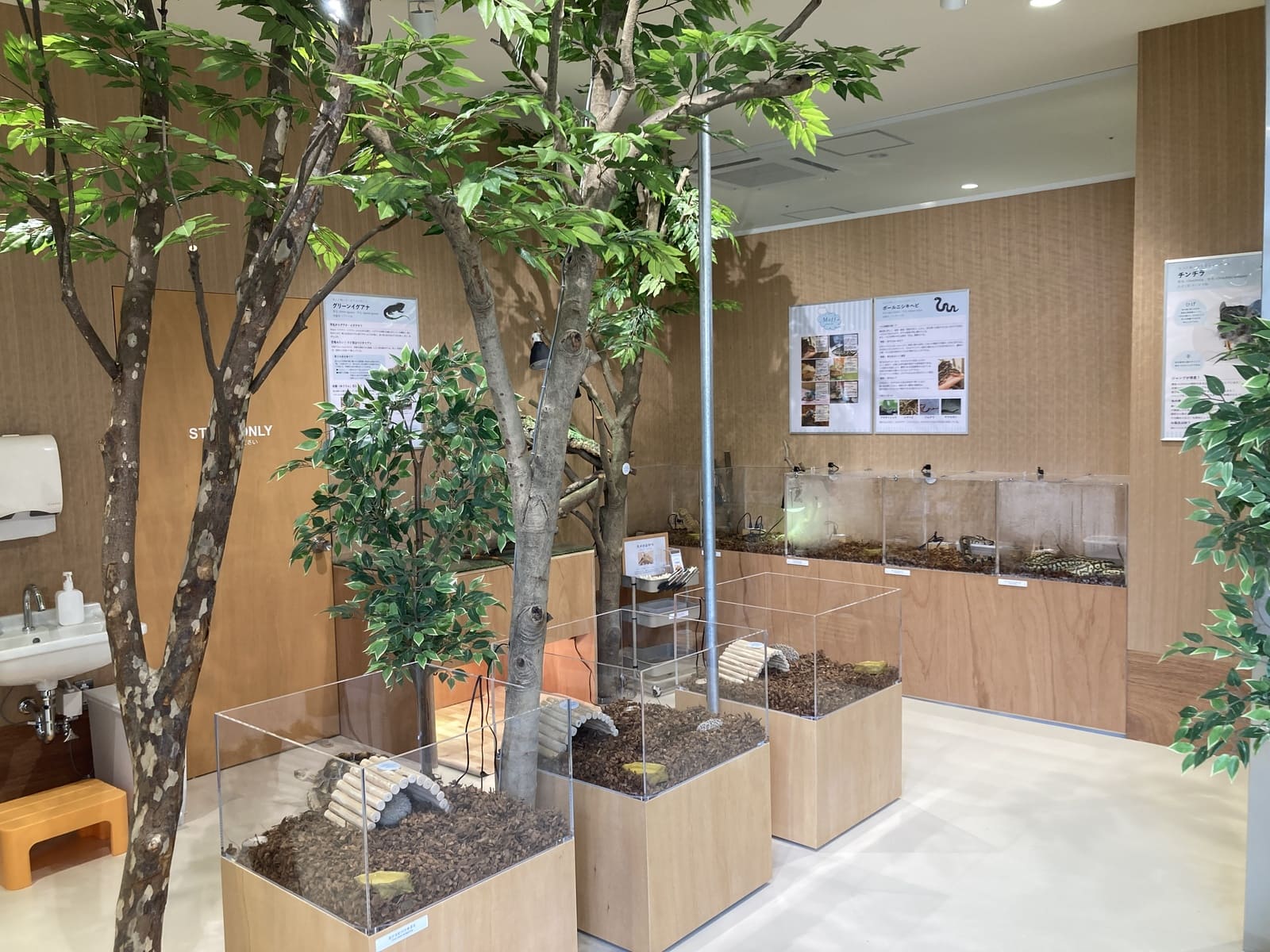 Moff animal cafe 海老名ビナウォーク店