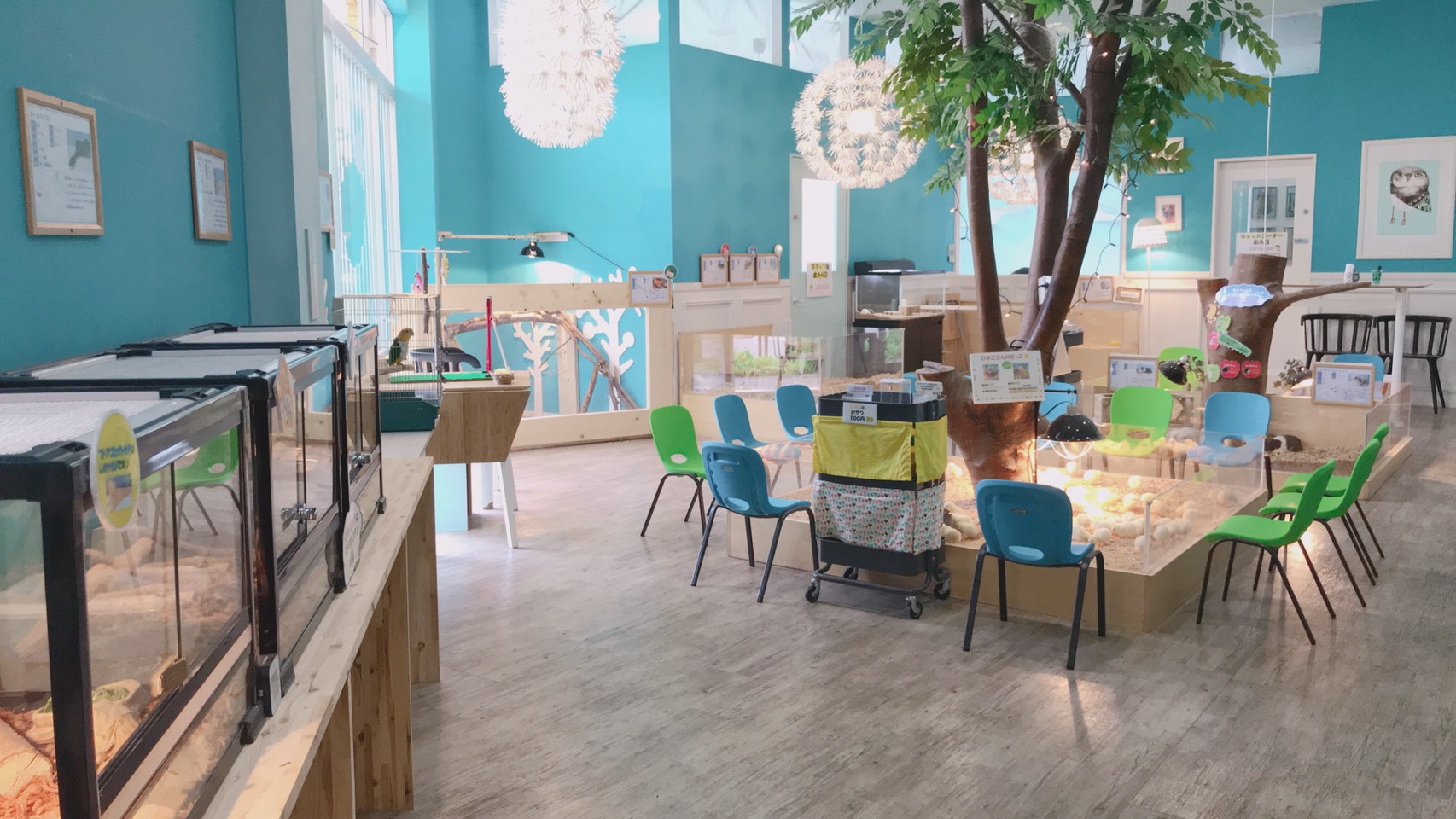 Moff animal cafe イーアスつくば店