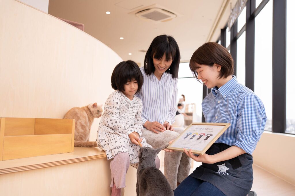 猫カフェ MOFFの過ごし方 お店の人に教えてもらう猫のこと