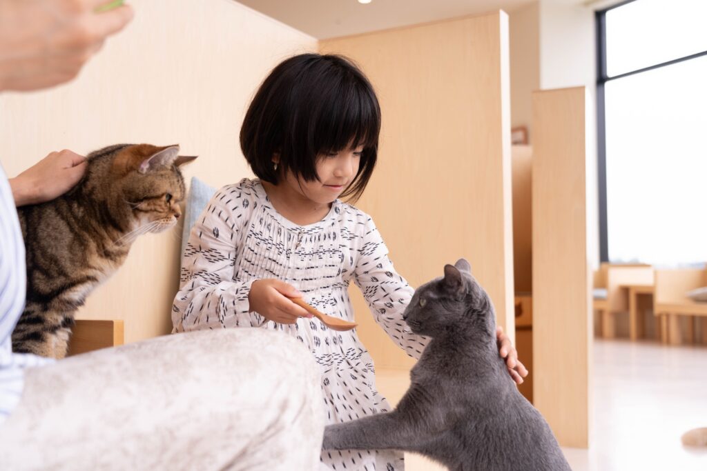 猫カフェ MOFFの過ごし方 おやつあげの様子