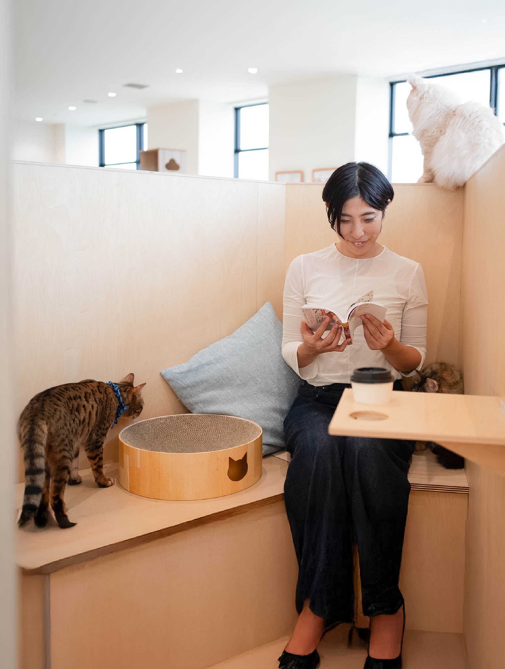 自分だけの癒し時間