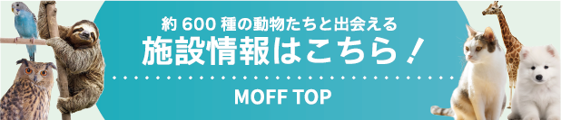 様々な動物ふれあい体験！MOFF TOPはこちら