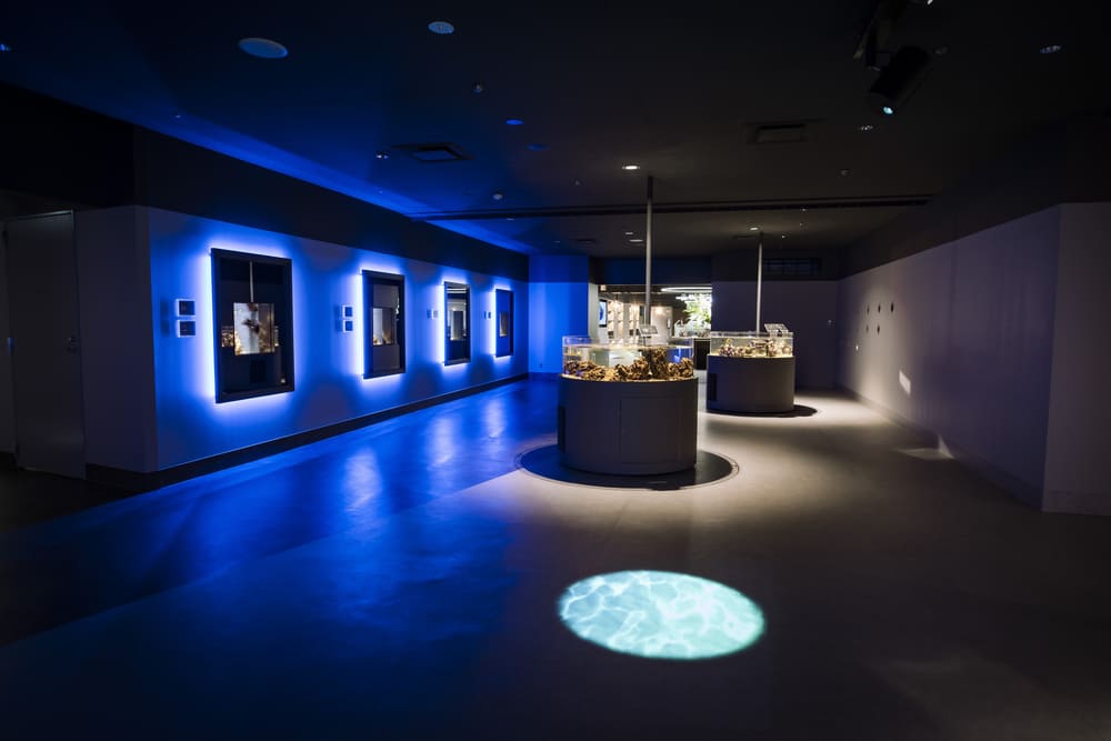 スマートアクアリウム静岡