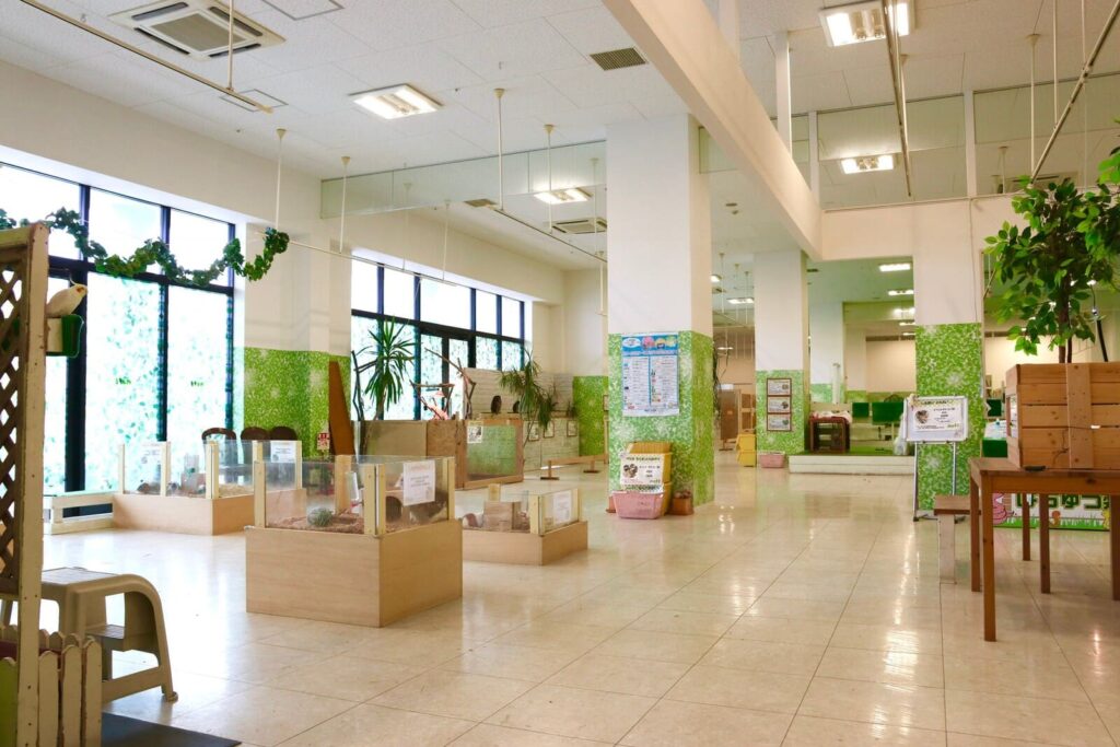 Moff animal world BIGHOP ガーデンモール印西店