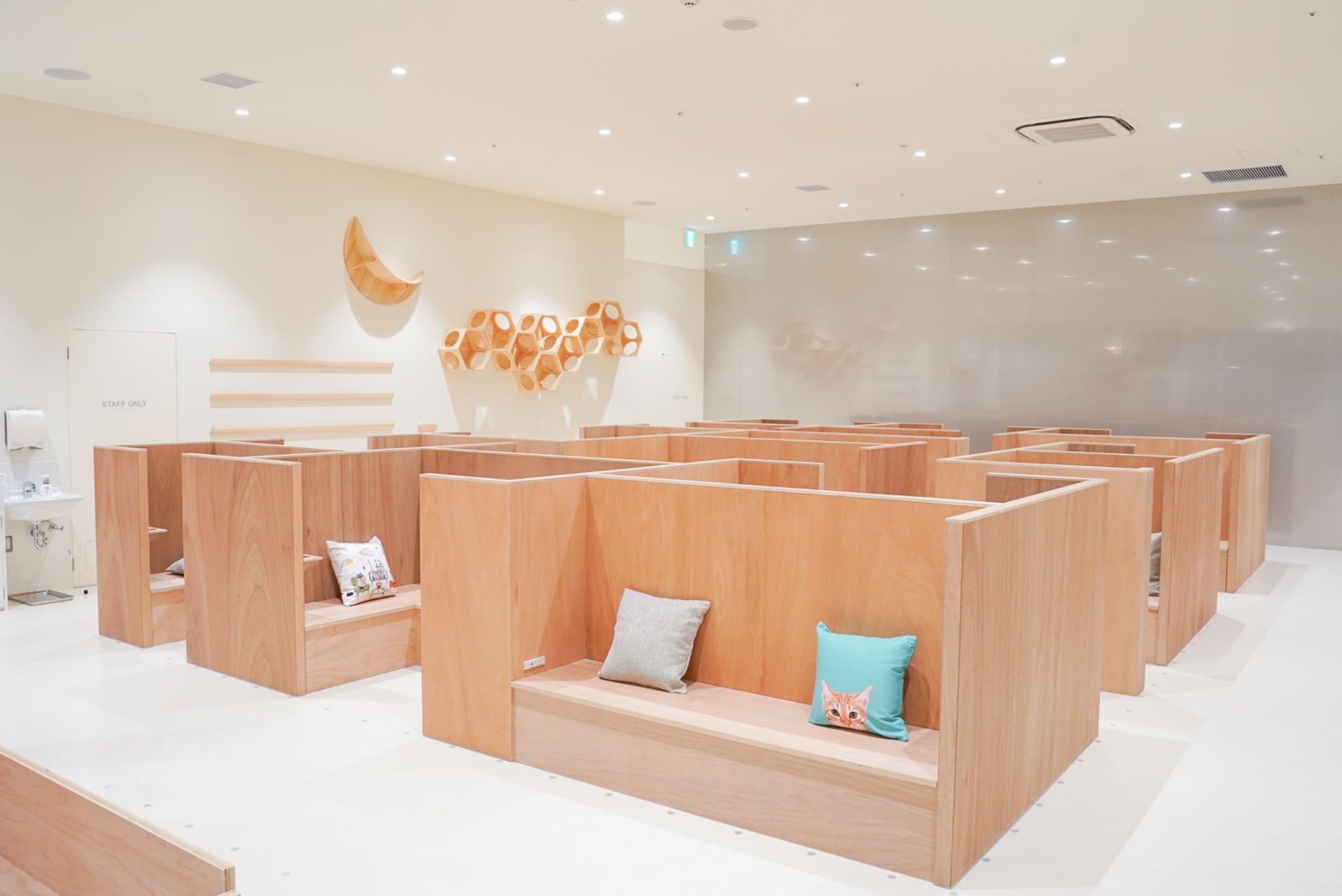 Cat Café MOFF モラージュ菖蒲店｜埼玉の猫カフェ｜予約不要・3歳以下無料
