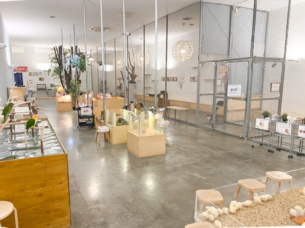 Moff animal cafe イーアス高尾店