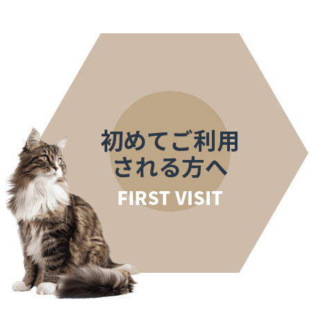 猫カフェ キャットカフェ MOFFを初めてご利用される方へ