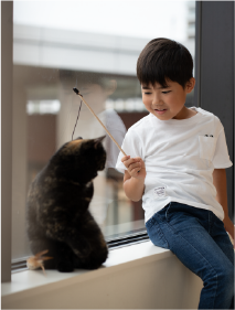 ねこたちと心通わせる