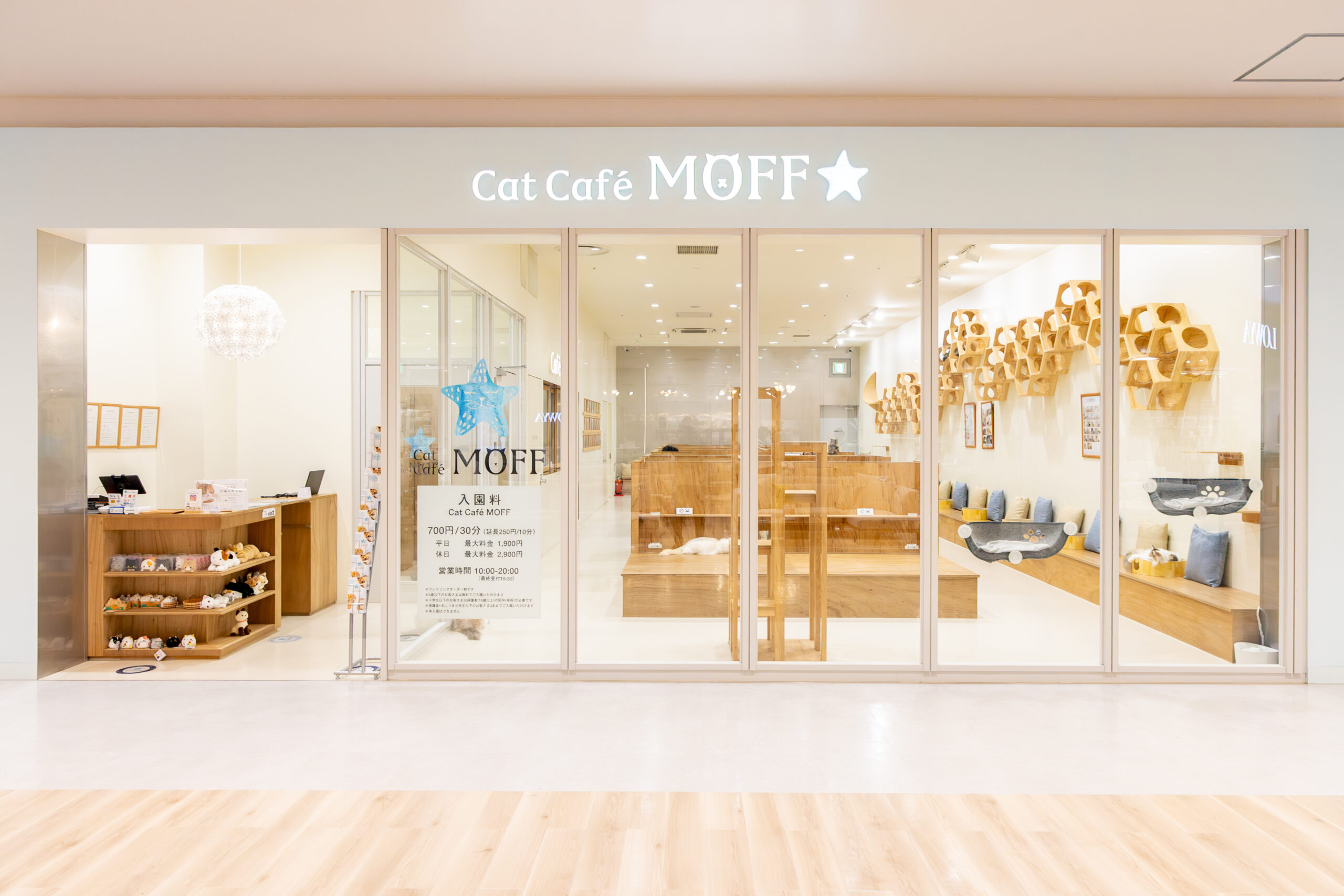 Cat Café MOFF ららぽーと安城店｜愛知の猫カフェ｜予約不要・3歳以下無料