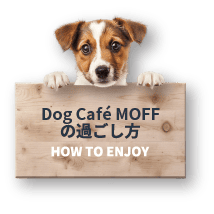 ドッグカフェ モフの過ごし方