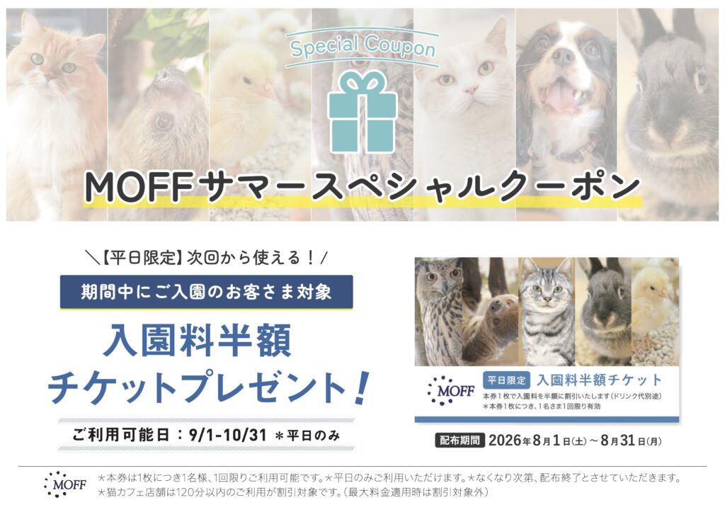 画像に alt 属性が指定されていません。ファイル名: 2607_%E5%85%A5%E5%9C%92%E5%8D%8A%E9%A1%8D%E3%82%AF%E3%83%BC%E3%83%9D%E3%83%B3%E9%85%8D%E5%B8%83s-1024x730.jpg